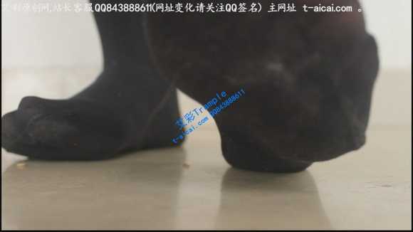 3pkm44mzd4f.jpg
