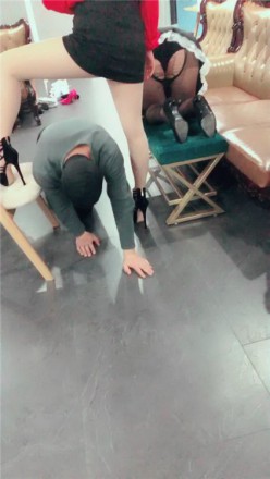 g0xivyfvgwv.jpg