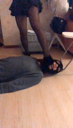 mv0ylbfxobl.jpg