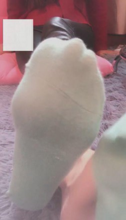 svycuketryi.jpg