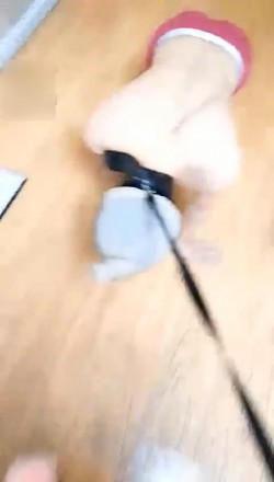 pdagq1kapww.jpg