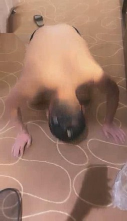 cdreniwimmd.jpg