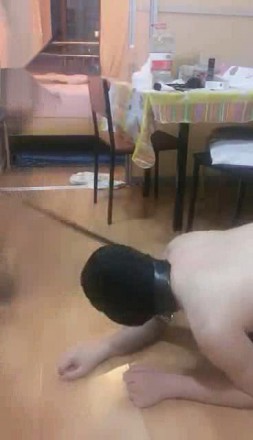 adqdxyp3gga.jpg
