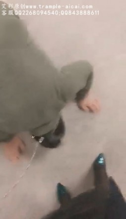 f1zybrnx0u4.jpg