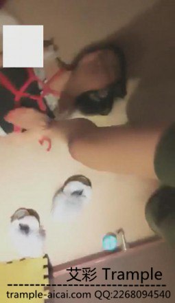 jzdgcu4lvka.jpg