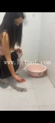 n0q402u0iei.jpg