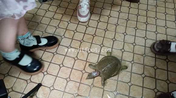 qgstcdcby30.jpg