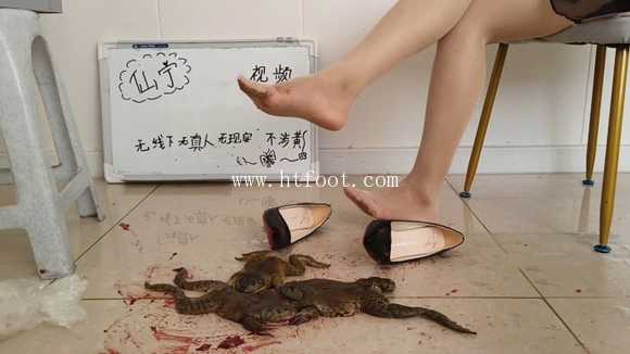 wdh3oo2qhkd.jpg