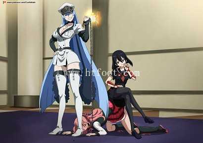 ectio3shrqd.jpg