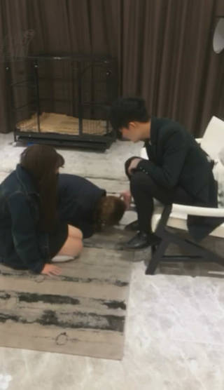 dzkgre3eza4.jpg