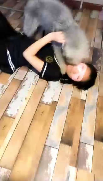 k0rajxbdr4d.jpg