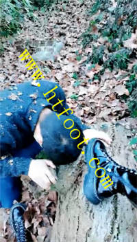 iif4fwhrbca.jpg