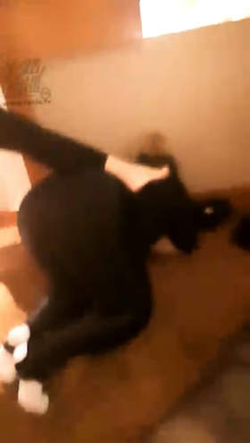 qrrsod33xqw.jpg
