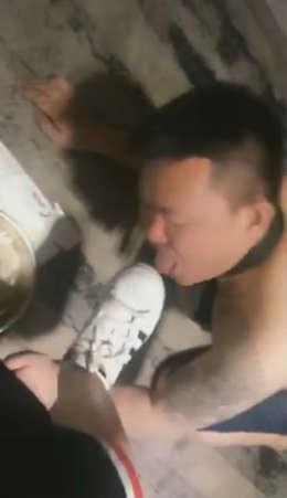 tg52jxh0jxt.jpg