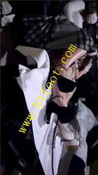 shdjaqg3p4v.jpg