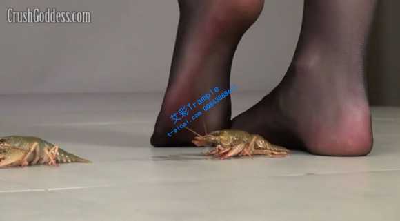 3xjxjcshkvm.jpg