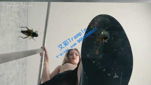 xrfha4tay0m.jpg