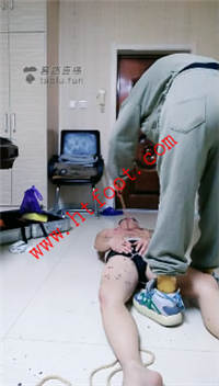 whr1udh44xy.jpg