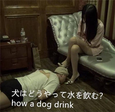 2f0qrxibjwz.jpg