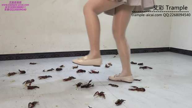4ivzfcdyqdd.jpg