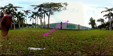q2d2avl01i0.jpg