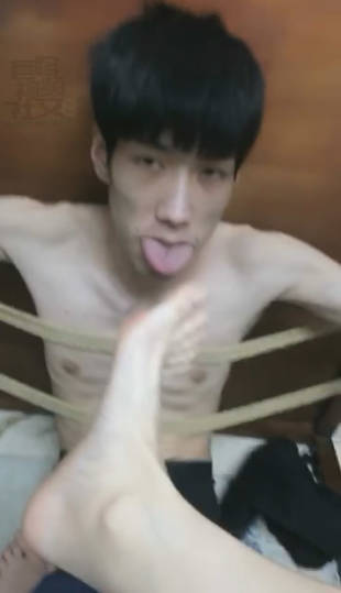 qqzhiedd2ks.jpg