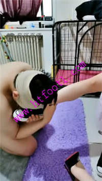 mlhczree23b.jpg