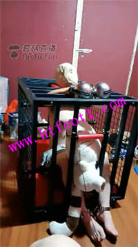 djc2tq54j3w.jpg