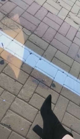 e4qltqtjouf.jpg