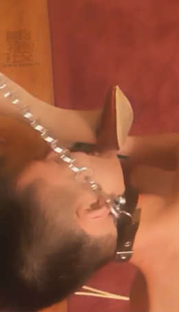 2mxcstrnw3u.jpg