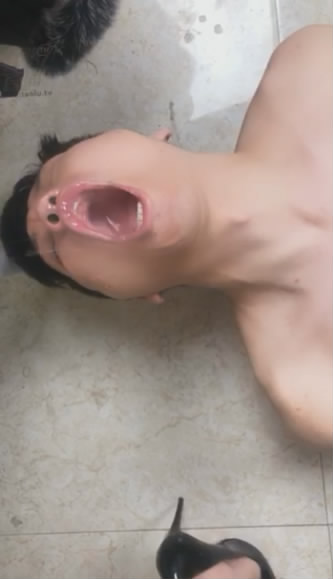 jfkv2ocbseb.jpg