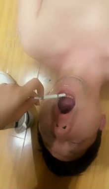 pdm1g2dgcdh.jpg