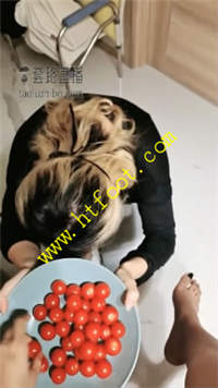agc453p1gif.jpg