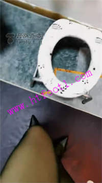 2zxvmgtrxkr.jpg