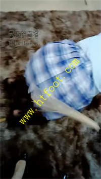 34tgrkombtq.jpg