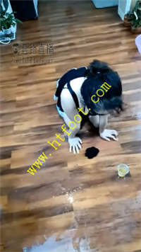 3wxgowkffg5.jpg
