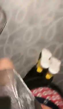 qlenpocgl4q.jpg