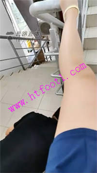zsepd1leg2h.jpg