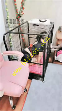 hx0yq1ciugt.jpg
