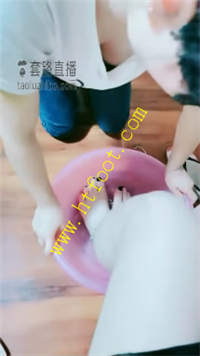 plcxcy1231h.jpg