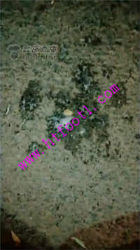 u45truq0ol0.jpg