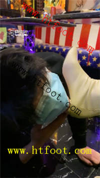 fs03q1aw4or.jpg