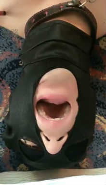 sqmksylj4ix.jpg