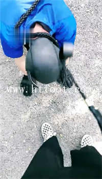 sw0bhlm1105.jpg