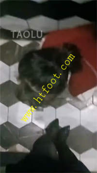 tn1xoavjmr3.jpg