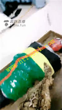 j1mj344fkpk.jpg