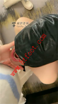 zvfgpi0240a.jpg