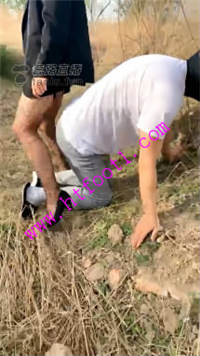 qfhqquby5cp.jpg
