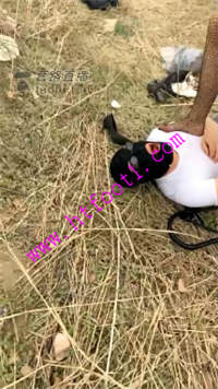 ptwxsgmlaod.jpg