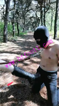 aubvoxivzx2.jpg